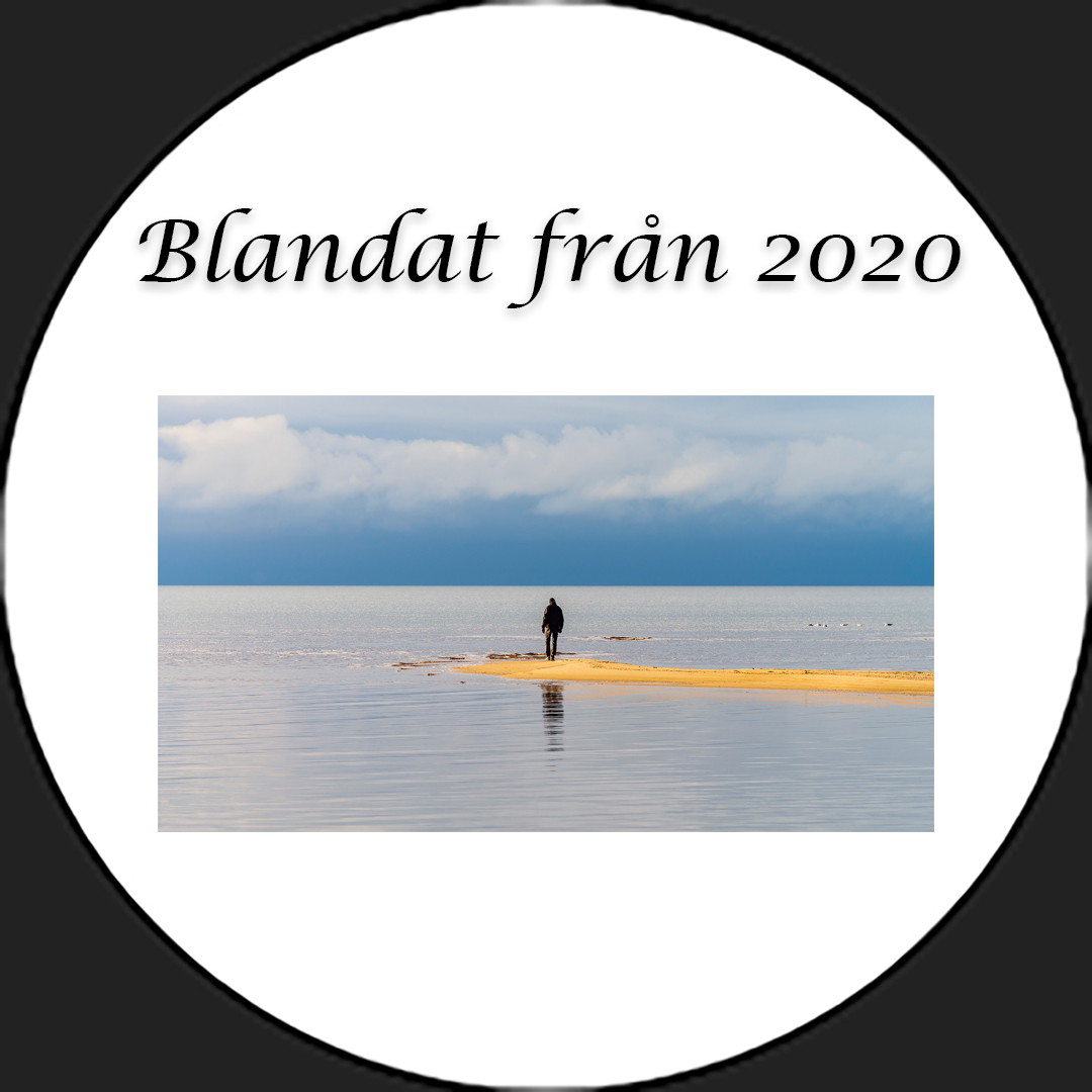 Foton från 2020