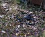 DSC00289