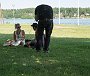 DSC06331