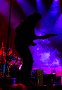 DSC07494