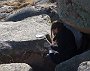 DSC00474