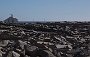 DSC00504