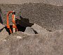 DSC00532