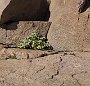 DSC00538