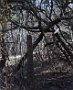 DSC00549