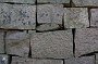 DSC00558