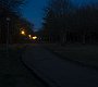 DSC00559