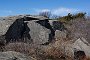 DSC00579