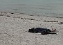 DSC05360