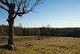 DSC07334