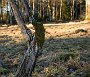 DSC07357