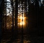 DSC07367