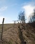 DSC08105