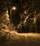 _DSC7702