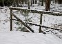 _DSC7707
