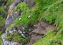 DSC02349