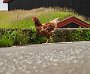 DSC02380