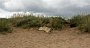 strandmadrass