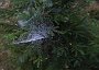DSC03516