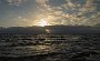 DSC03939