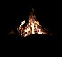 DSC04660