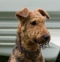 _DSC2470