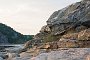 _DSC2546
