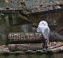 DSC00050
