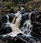 DSC00307