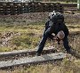 DSC05169