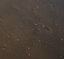DSC09699