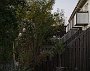 DSC09924