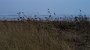 DSC00630