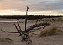 DSC01906