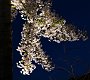 DSC02188