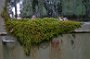 DSC09058