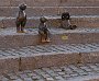 DSC06262