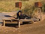 DSC09919