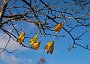 DSC09930