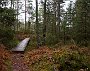 DSC00100