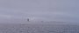DSC00959