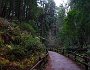 DSC09206