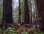 DSC09210