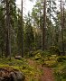 DSC03650