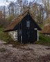 DSC04501