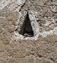 DSC00405