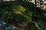 DSC04083-5