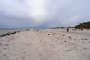 DSC04991