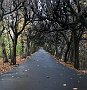 DSC07040