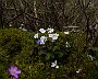DSC01725
